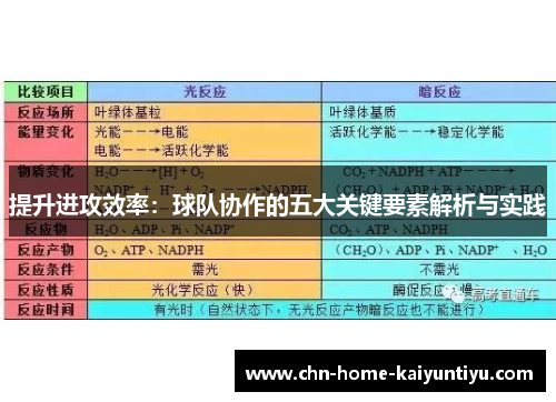 提升进攻效率：球队协作的五大关键要素解析与实践