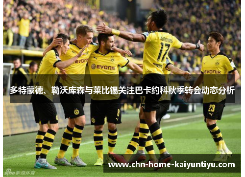 多特蒙德、勒沃库森与莱比锡关注巴卡约科秋季转会动态分析