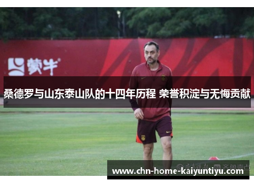 桑德罗与山东泰山队的十四年历程 荣誉积淀与无悔贡献