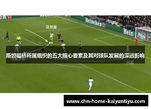 斯坦福桥所属组织的五大核心要素及其对球队发展的深远影响