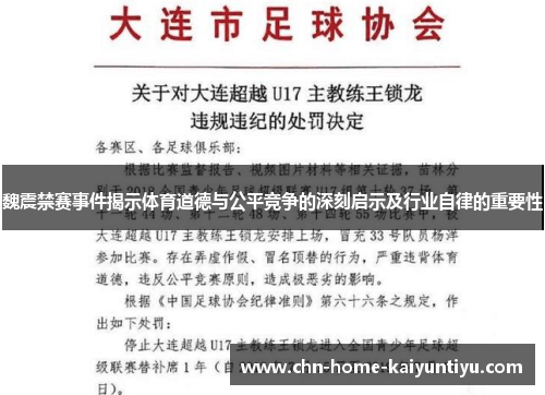 魏震禁赛事件揭示体育道德与公平竞争的深刻启示及行业自律的重要性